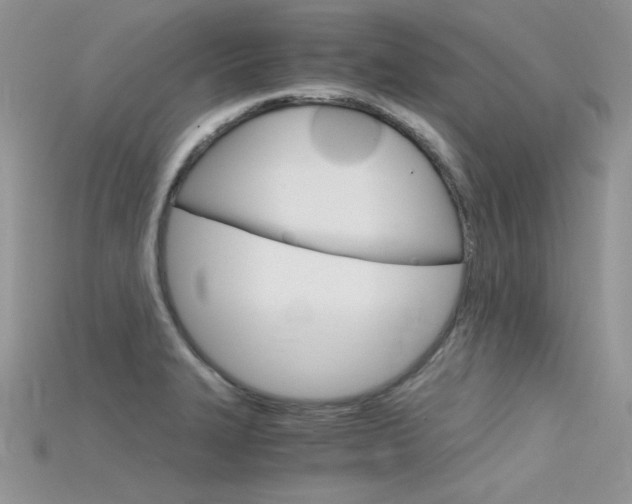 X0000115701327200911121356
