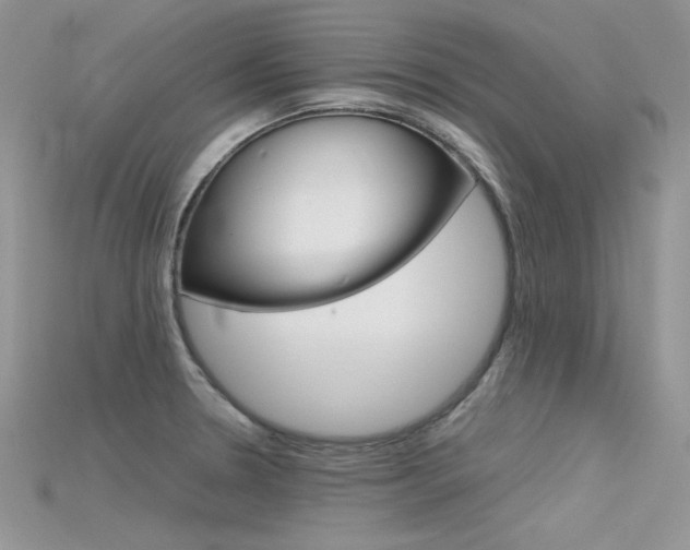 X0000115701330200911121356