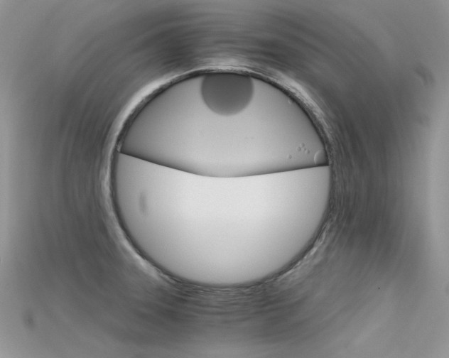 X0000115701331200911121356