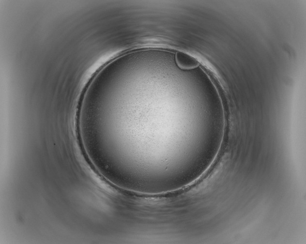 X0000115701333200911121356