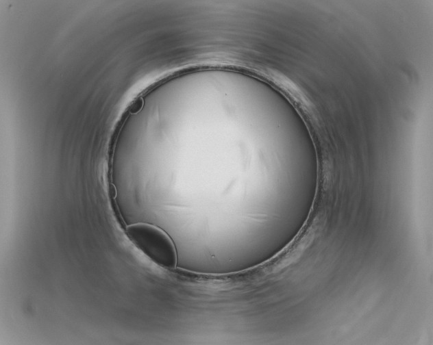 X0000115701334200911121356