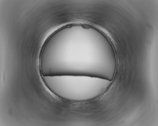 X0000115701335200911121356