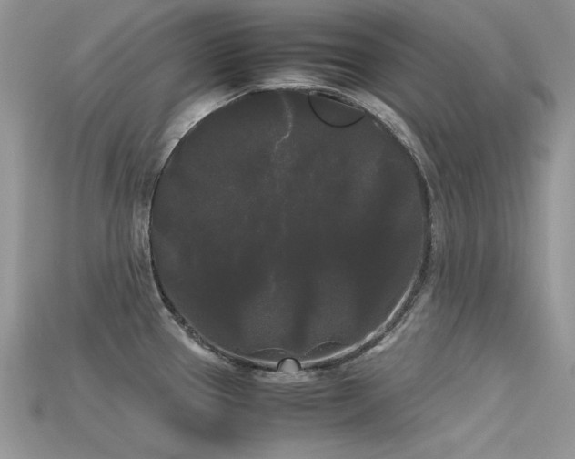X0000115701337200911121356
