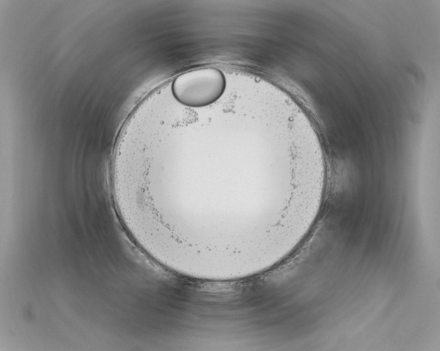 X0000115701338200911121356