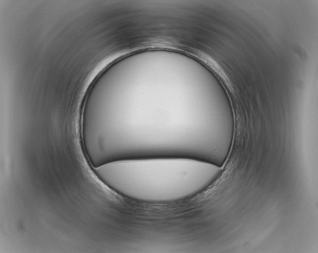 X0000115701339200911121356