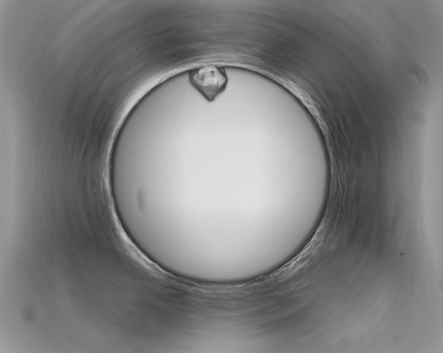 X0000115701342200911121356