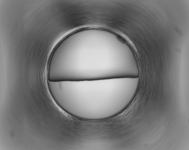 X0000115701343200911121356