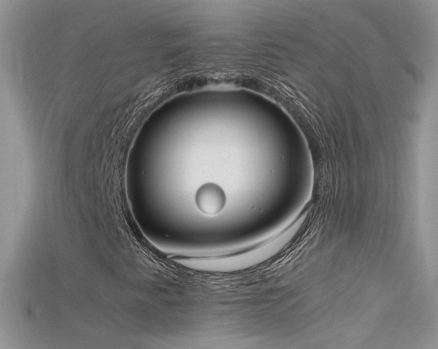X0000115701345200911121356