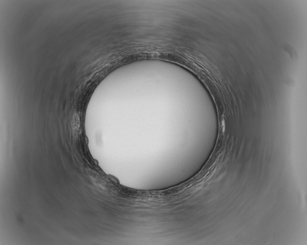 X0000115701347200911121356