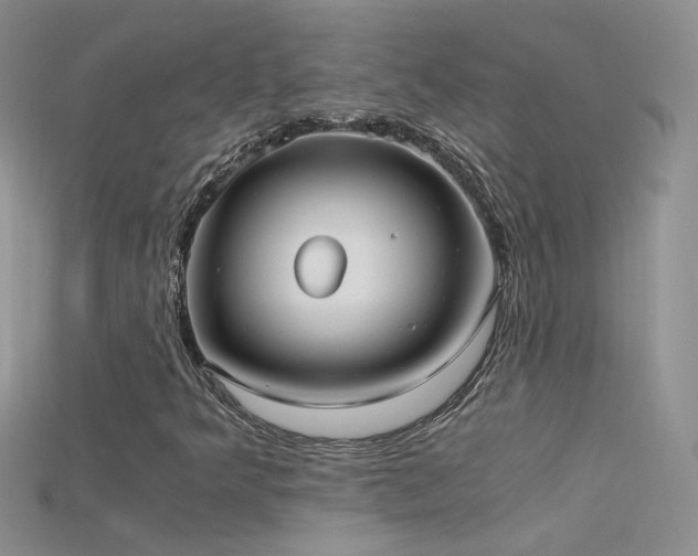 X0000115701349200911121356