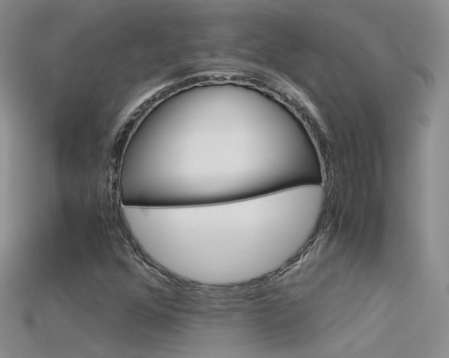 X0000115701352200911121355