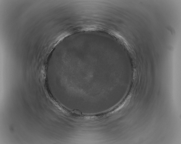 X0000115701353200911121355
