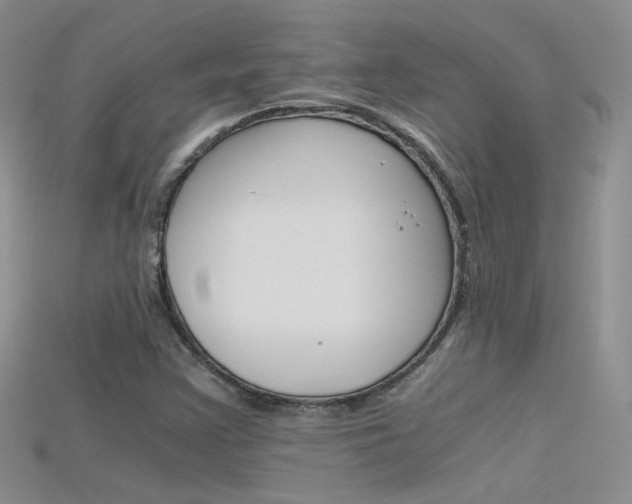 X0000115701355200911121355