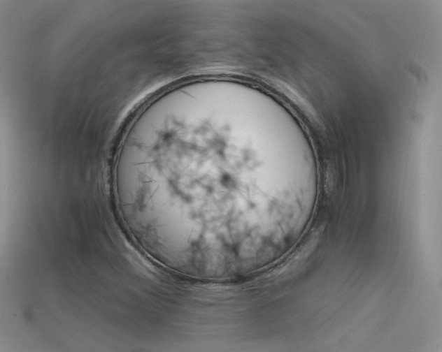 X0000115701356200911121355