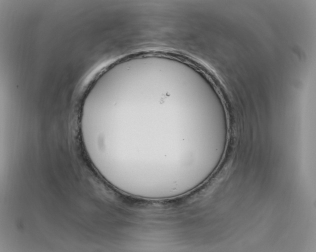 X0000115701359200911121355