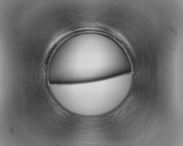 X0000115701360200911121355