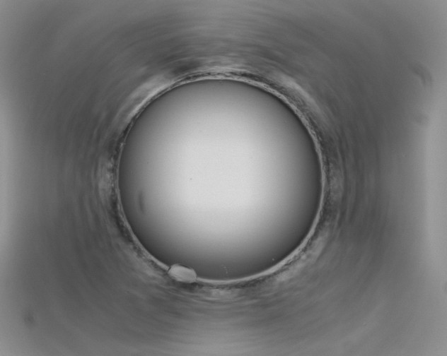 X0000115701361200911121355