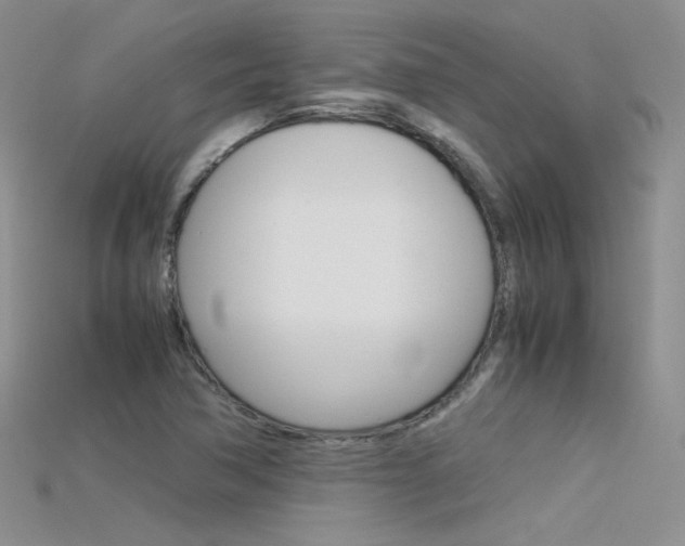 X0000115701362200911121355