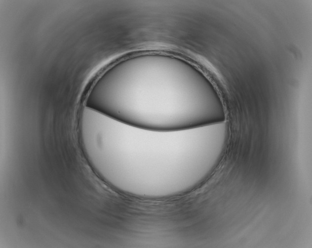 X0000115701364200911121355