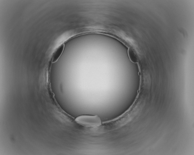 X0000115701365200911121355