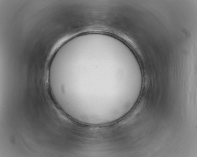 X0000115701366200911121355