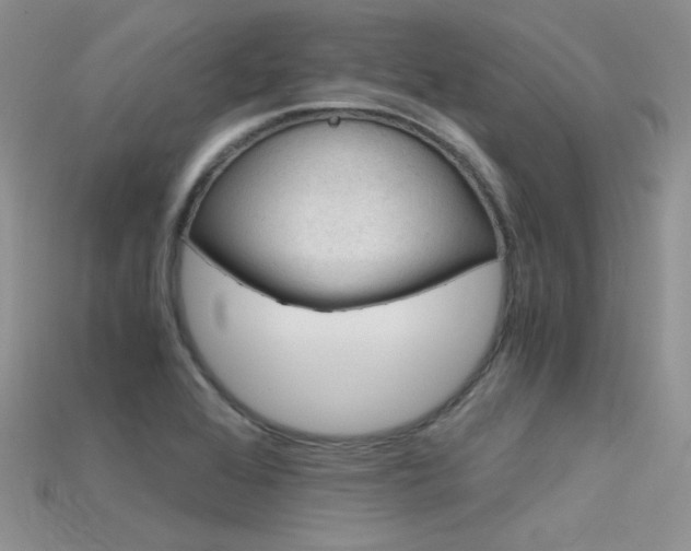 X0000115701368200911121355