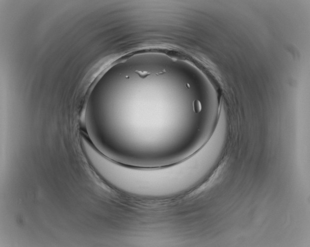 X0000115701369200911121355