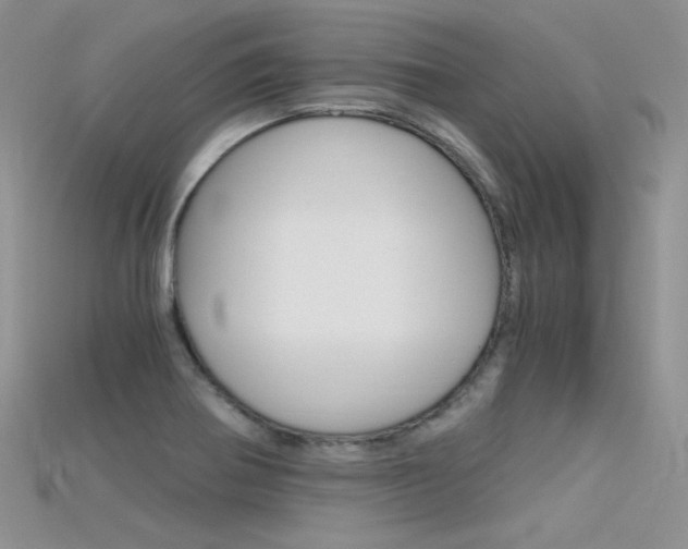 X0000115701370200911121355