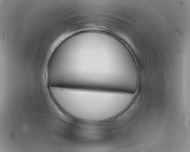 X0000115701371200911121355