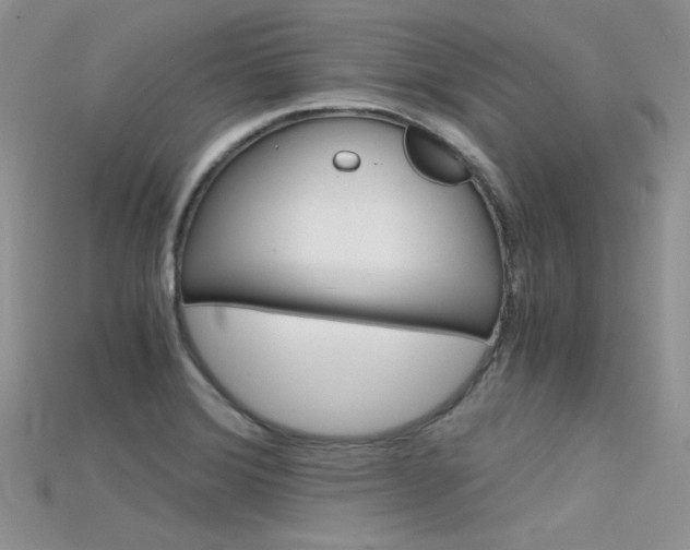 X0000115701372200911121355