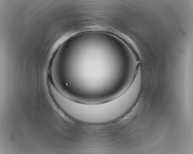 X0000115701373200911121355