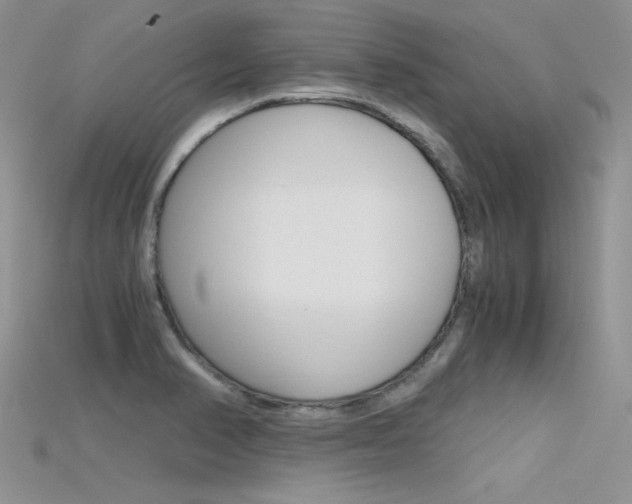X0000115701374200911121355