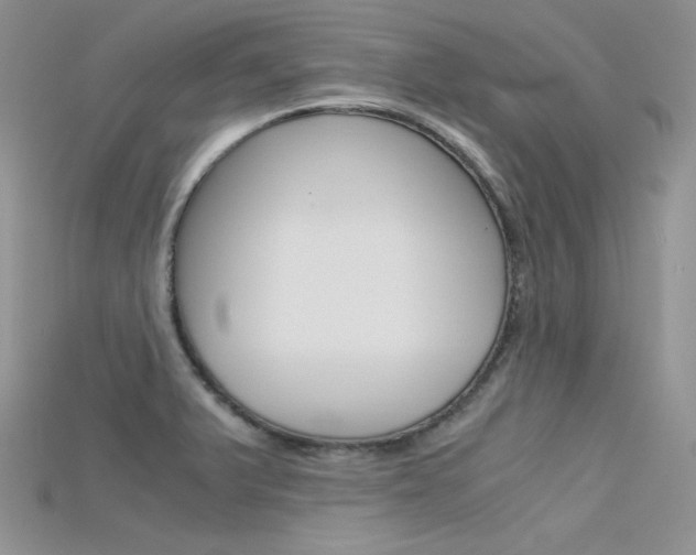 X0000115701375200911121355