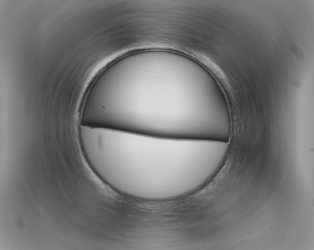 X0000115701380200911121355