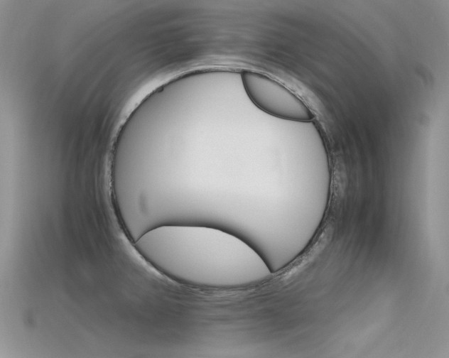 X0000115701382200911121355