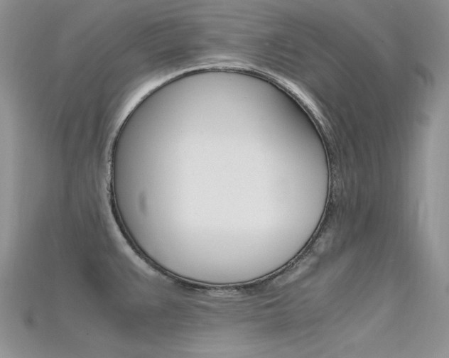 X0000115701383200911121355