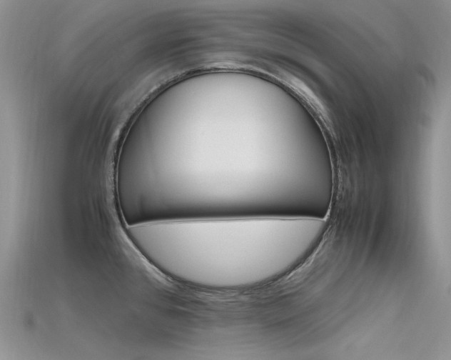 X0000115701384200911121355