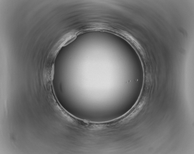 X0000115701385200911121355
