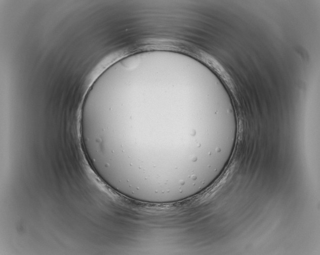 X0000115701386200911121355