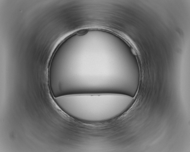 X0000115701388200911121355