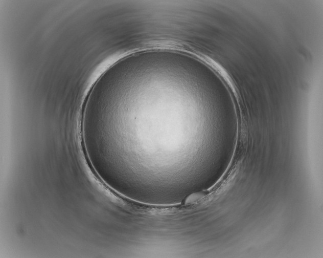 X0000115701389200911121355
