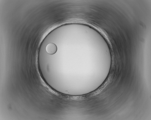 X0000115701390200911121355