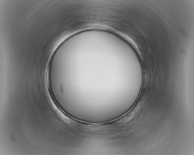 X0000115701391200911121355