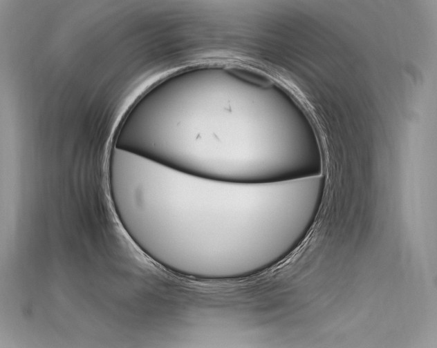 X0000115701392200911121355