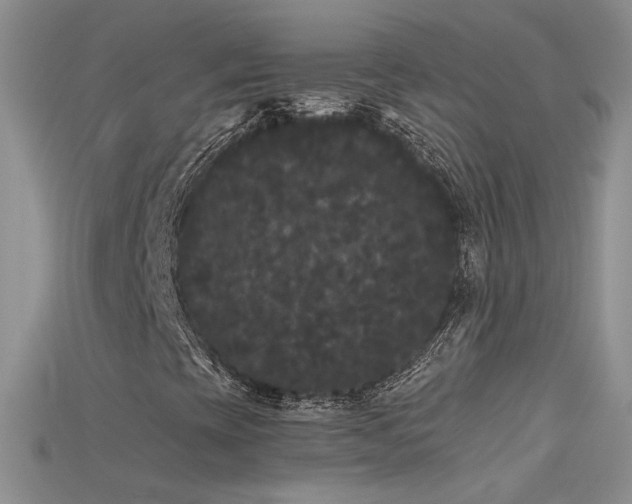 X0000115701393200911121354