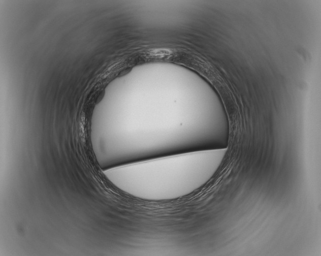 X0000115701394200911121354