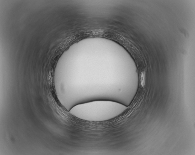 X0000115701395200911121354