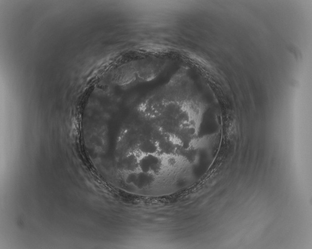 X0000115701397200911121354