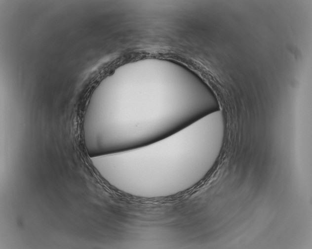 X0000115701398200911121354