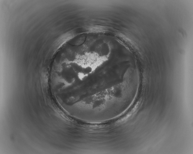X0000115701401200911121354